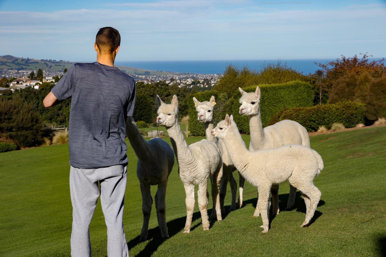 Alpaca Farmstay Dunedin Ngoại thất bức ảnh